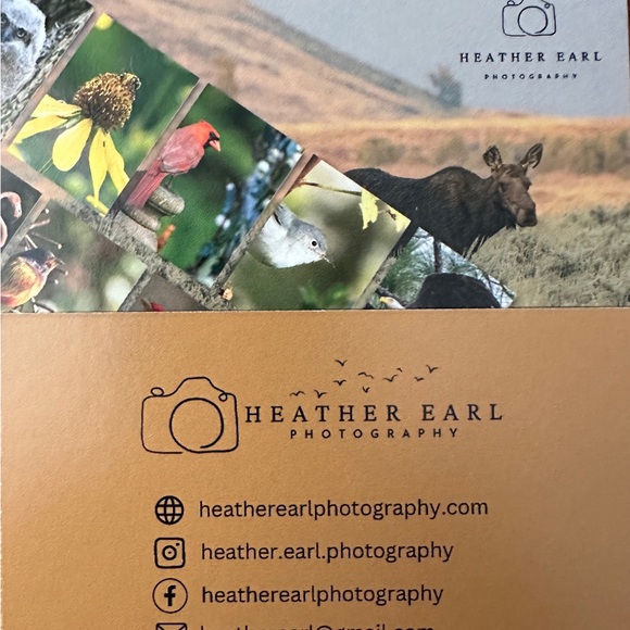 Set of 3 - Handcrafted Photo Greeting Cards - Barred Owl - Set of 3 - Picture 2 of 2